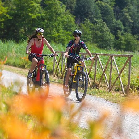 I Laghee Casette Breva E Tivano -Garden-Parking-Lake View - Bike Friendly Holiday House Colico Extérieur photo