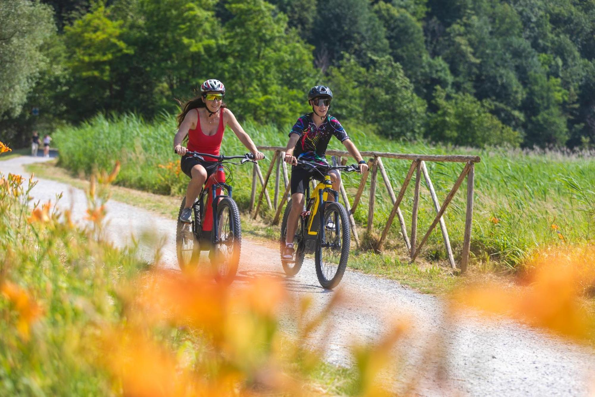 I Laghee Casette Breva E Tivano -Garden-Parking-Lake View - Bike Friendly Holiday House Colico Extérieur photo